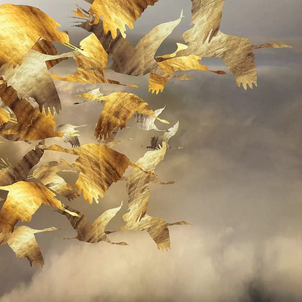 Daphne Horev: Airborne Spiral II by Daphne Horev