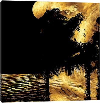Tropical Windy Night Canvas Art Print - Daphne Horev