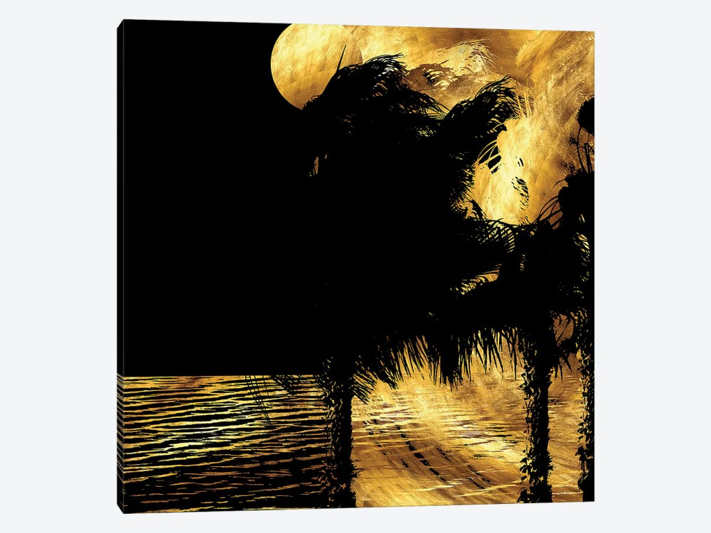 Tropical Windy Night by Daphne Horev 1-piece Canvas Wall Art