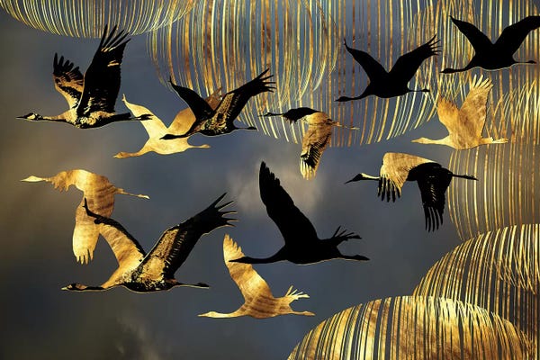 Daphne Horev: Winter Is Coming by Daphne Horev