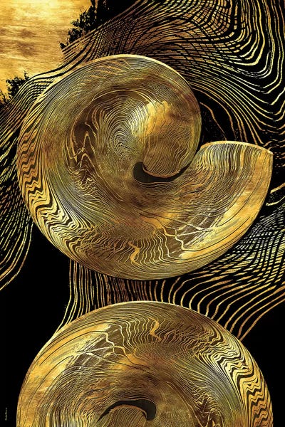 Daphne Horev: Woven Patience by Daphne Horev