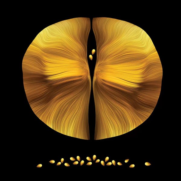 Daphne Horev: Synergy by Daphne Horev