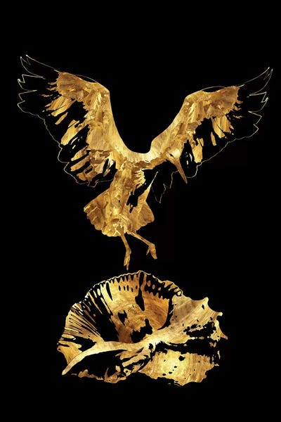 Take Off by Daphne Horev canvas print