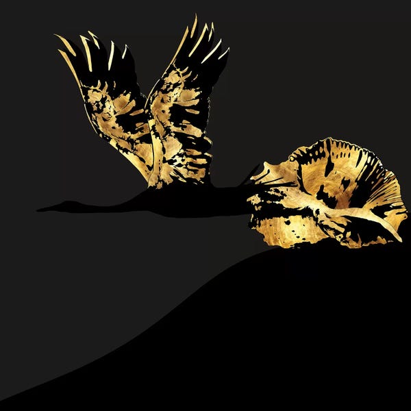 Daphne Horev: Transformation - Take Off by Daphne Horev