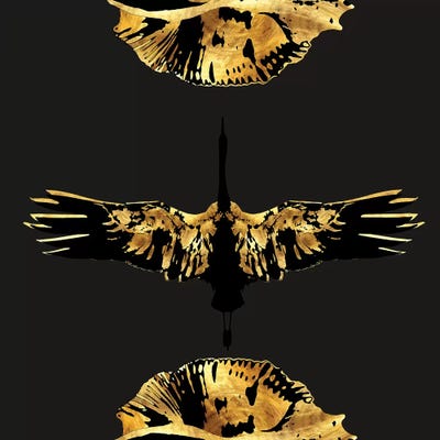 Transitions by Daphne Horev canvas print