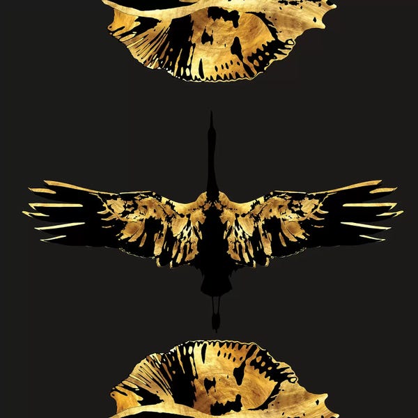 Daphne Horev: Transitions by Daphne Horev