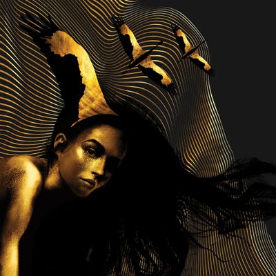 Hypno's Wings - Reflections No.2 by Daphne Horev canvas print