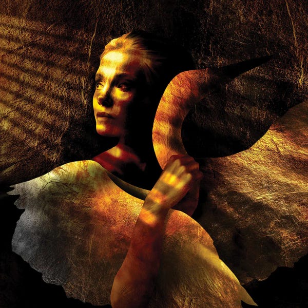 Daphne Horev: Rays Of Hope by Daphne Horev