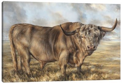 Highland Brown Bull Canvas Art Print - Bull Art