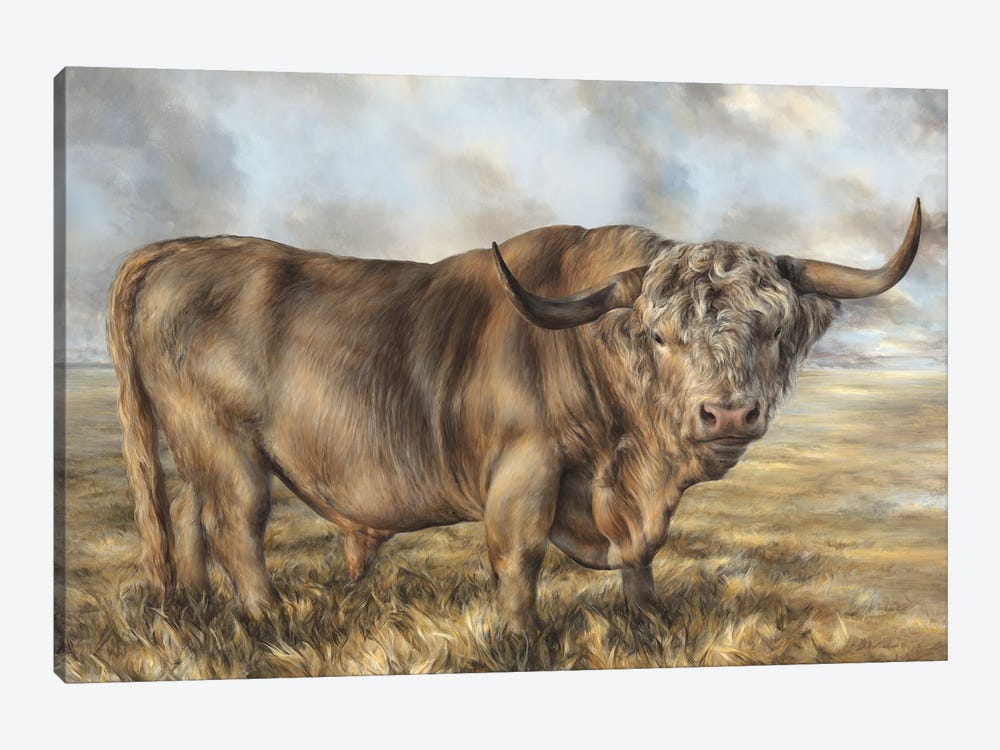 Highland Brown Bull by Dina Perejogina 1-piece Canvas Art Print