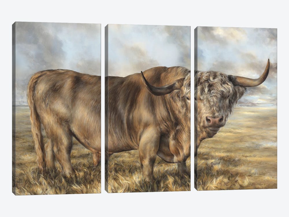 Highland Brown Bull by Dina Perejogina 3-piece Canvas Art Print