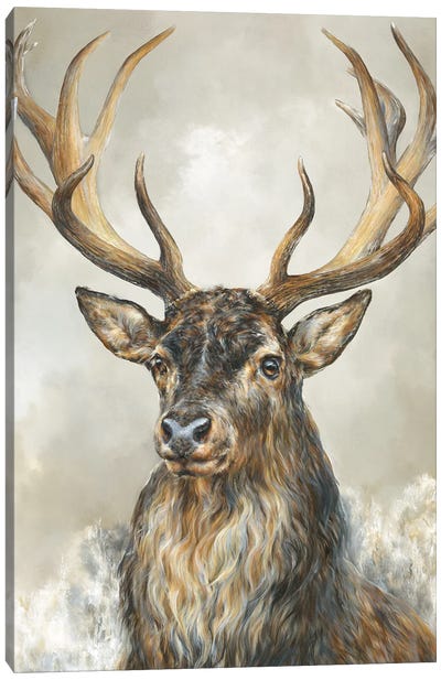Deer Hart Canvas Art Print