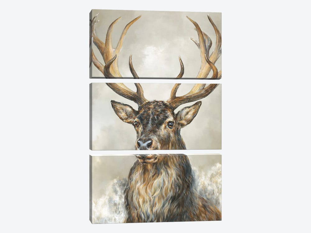 Deer Hart by Dina Perejogina 3-piece Canvas Artwork