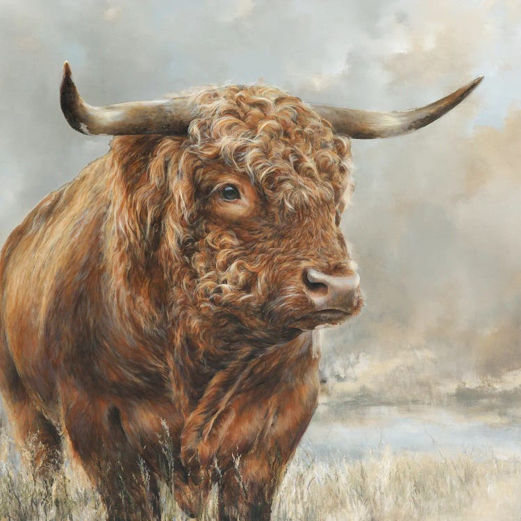 Wild Filed Bull