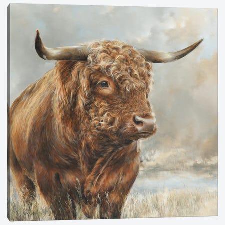 Wild Filed Bull Canvas Print #DPJ3} by Dina Perejogina Canvas Art