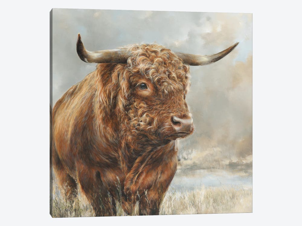 Wild Filed Bull by Dina Perejogina 1-piece Canvas Art Print