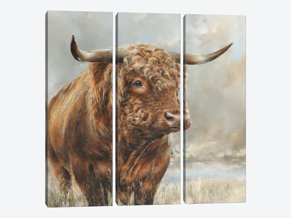 Wild Filed Bull by Dina Perejogina 3-piece Art Print
