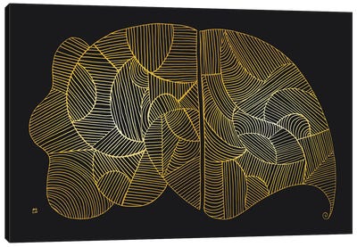 The Split Olifant Canvas Art Print - Meditative & Methodical Abstracts