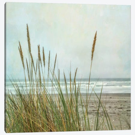 North Coast Dunes II Canvas Print #DPO13} by Dianne Poinski Canvas Artwork