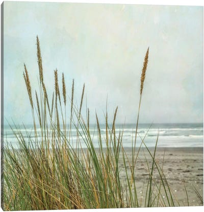 North Coast Dunes II Canvas Art Print - Dianne Poinski
