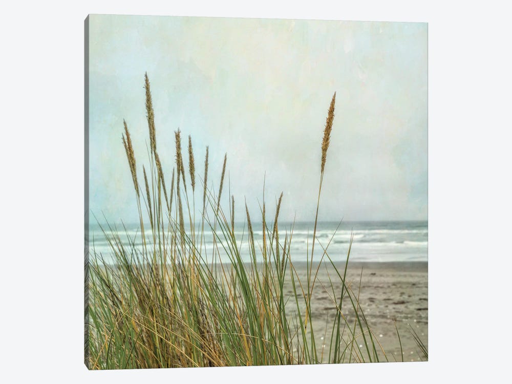 North Coast Dunes II by Dianne Poinski 1-piece Art Print