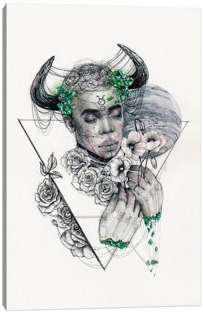 Taurus Canvas Art Print - Doriana Popa