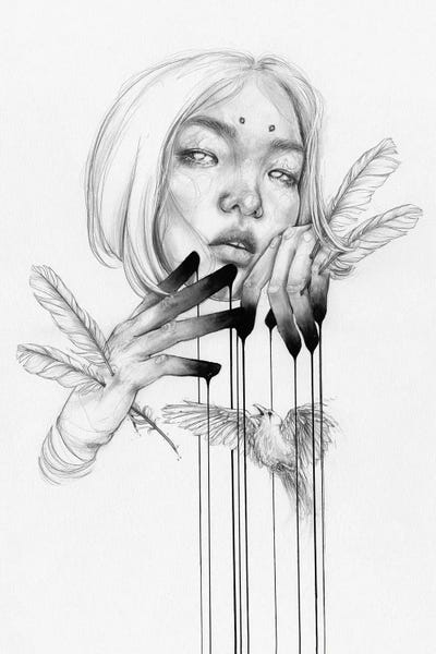 Feathers: Cage by Doriana Popa