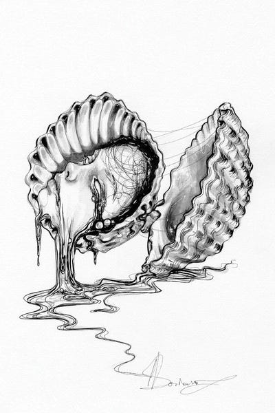 Sea Shells: Scallop by Doriana Popa