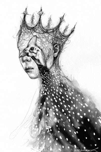Black & White Drawings & Illustrations: Fowl by Doriana Popa