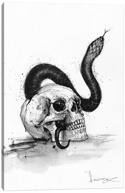 Ponytail Canvas Art Print - Snake Art
