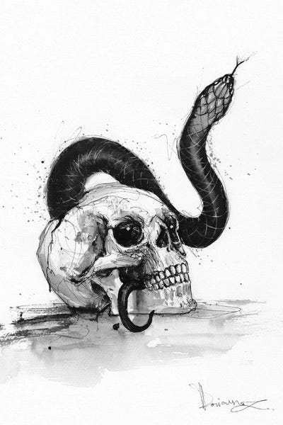 Snakes: Ponytail by Doriana Popa