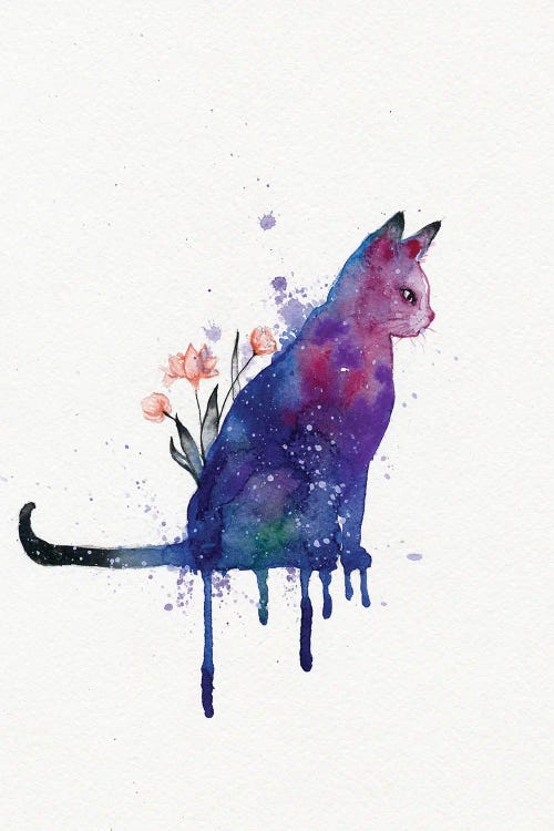 Cat Galaxy