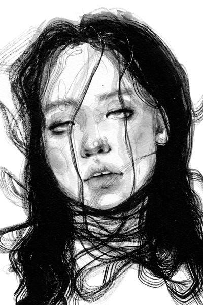 Enchanted by Doriana Popa canvas print