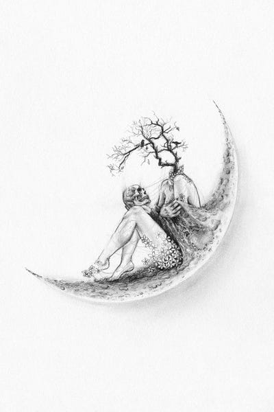 Wild Spirit: Fade by Doriana Popa