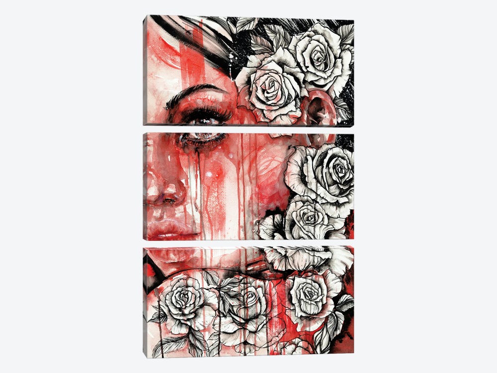 Rose by Doriana Popa 3-piece Canvas Artwork