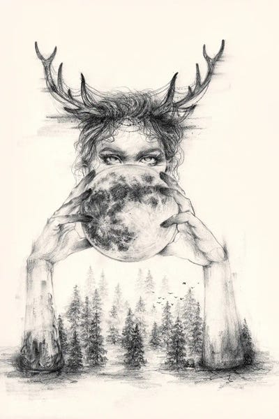 Pine Trees: Selenophile by Doriana Popa