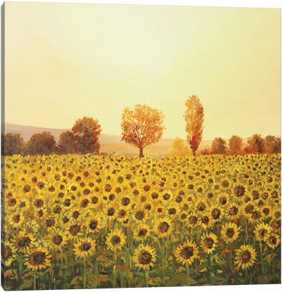Memories Of The Summer Canvas Art Print - Scenic Collection