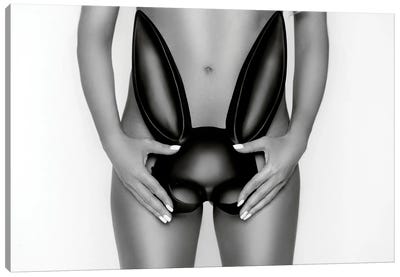 Sexy Model Is Covered With A Black Rabbit Mask Canvas Art Print