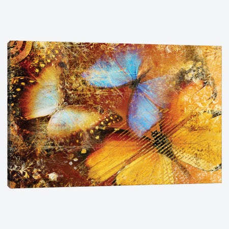 Abstract Background With Colored Butterflies Canvas Print #DPT116} by Maugli Canvas Wall Art