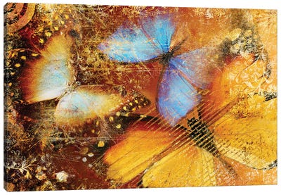 Abstract Background With Colored Butterflies Canvas Art Print