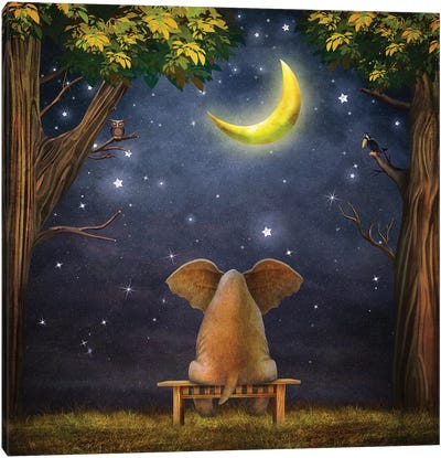 Elephant On A Bench In The Night Forest Canvas Art Print - Scenic Collection