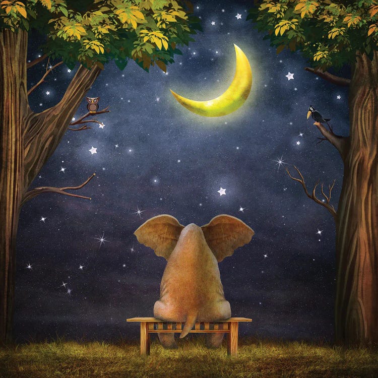 Elephant On A Bench In The Night Forest