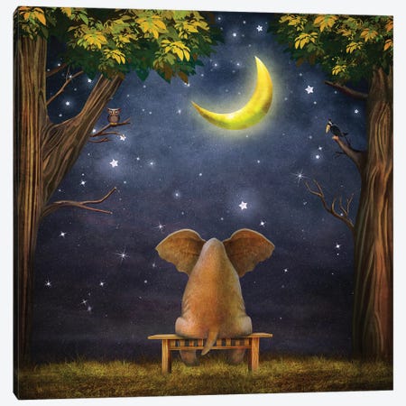 Elephant On A Bench In The Night Forest Canvas Print #DPT131} by natamc Canvas Art Print