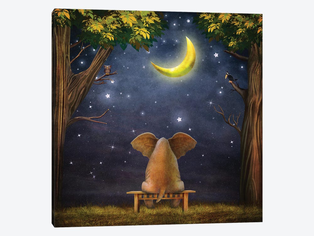 Elephant On A Bench In The Night Forest by natamc 1-piece Canvas Wall Art