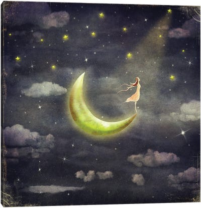 The Girl Who Admires The Star Sky Canvas Art Print - Crescent Moon Art