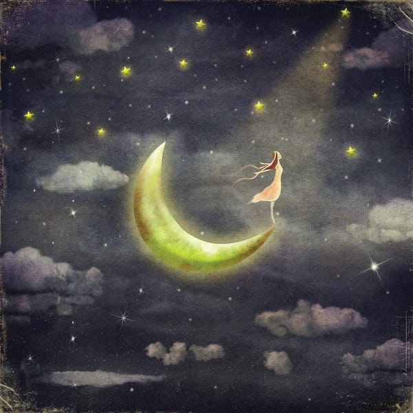 The Girl Who Admires The Star Sky