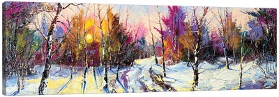 Sunset In Winter Wood Canvas Art Print - Fine Art Collection