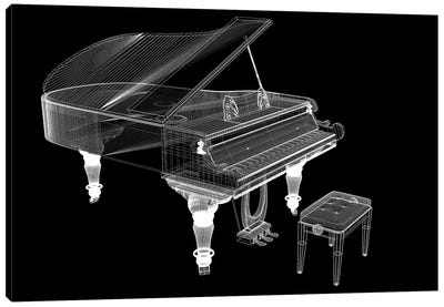 Antique Grand Piano With Path III Canvas Art Print
