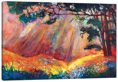 Autumn Forest I Canvas Art Print
