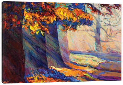 Autumn Forest II Canvas Art Print